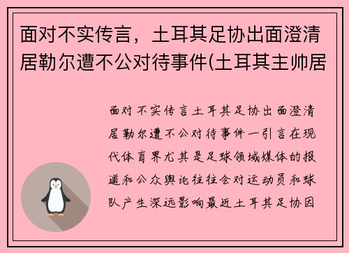 面对不实传言，土耳其足协出面澄清居勒尔遭不公对待事件(土耳其主帅居内什)