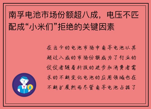 南孚电池市场份额超八成，电压不匹配成“小米们”拒绝的关键因素